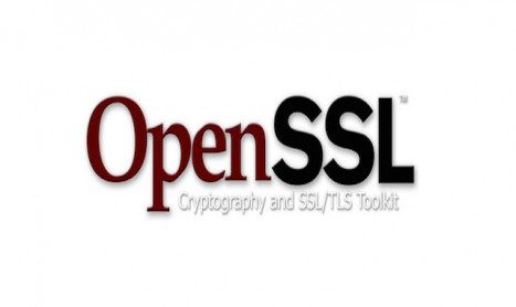 OpenSSL Underfunded and Understaffed